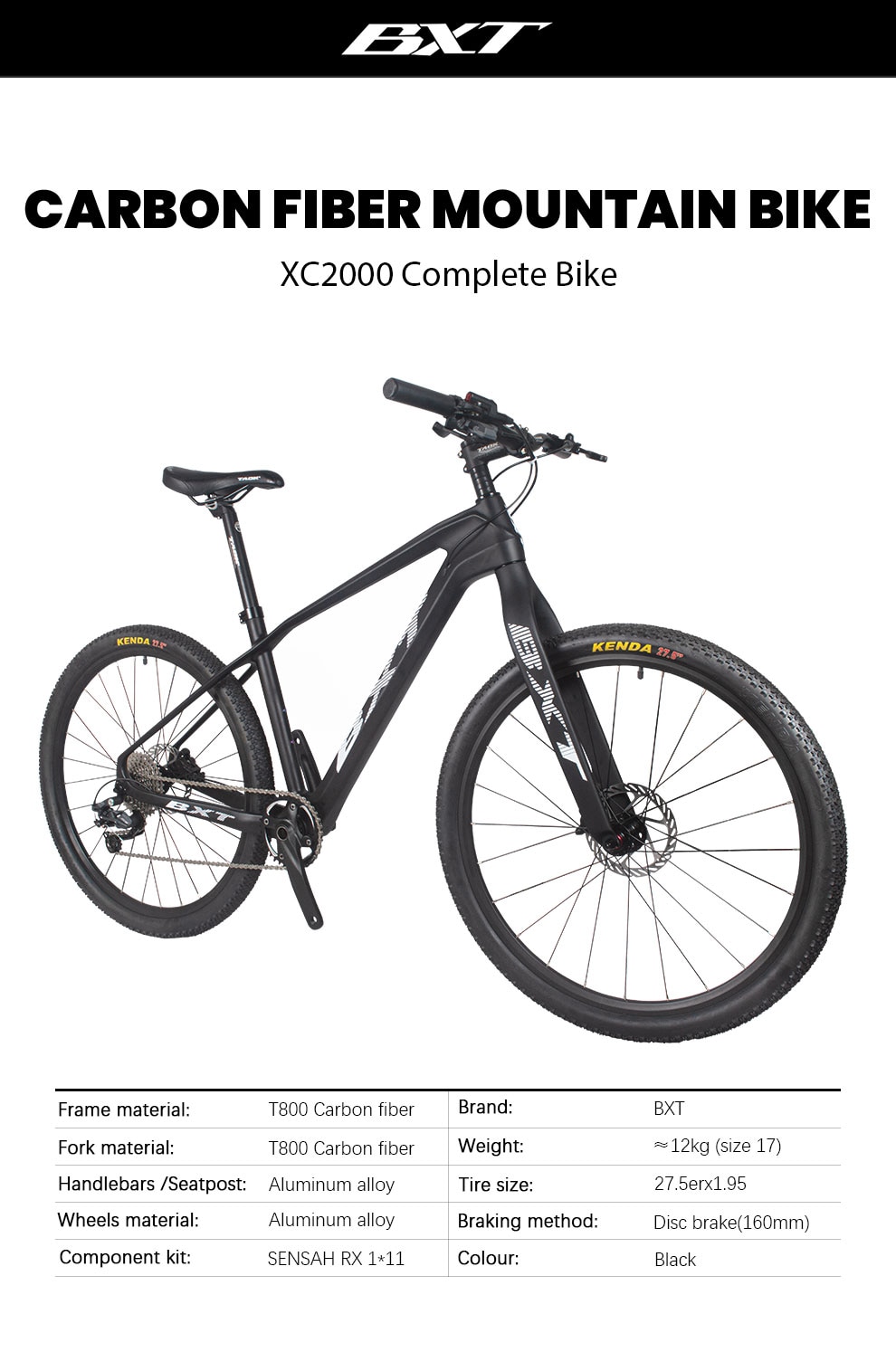 Carbon Adult Mountain Bike T800 carbon bike BXT